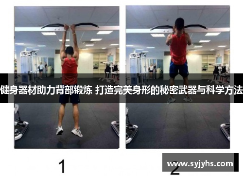 健身器材助力背部锻炼 打造完美身形的秘密武器与科学方法